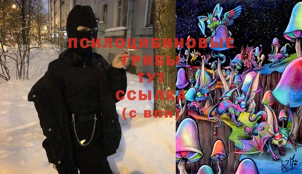 сатива Абдулино