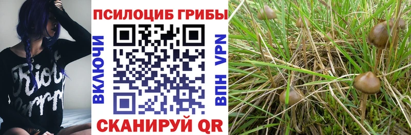Галлюциногенные грибы мицелий  сколько стоит  hydra маркетплейс  Абинск 