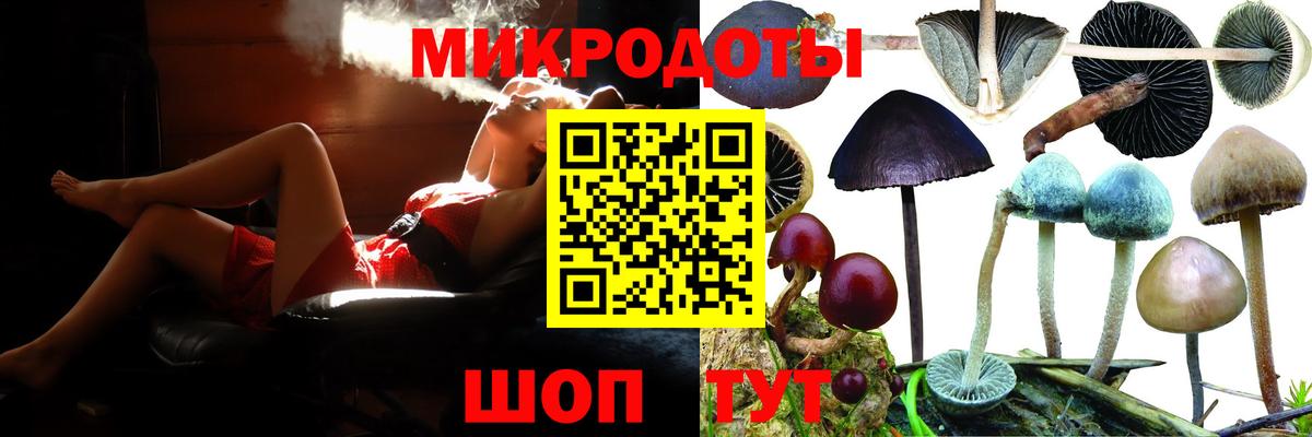 Галлюциногенные грибы Cubensis Абинск